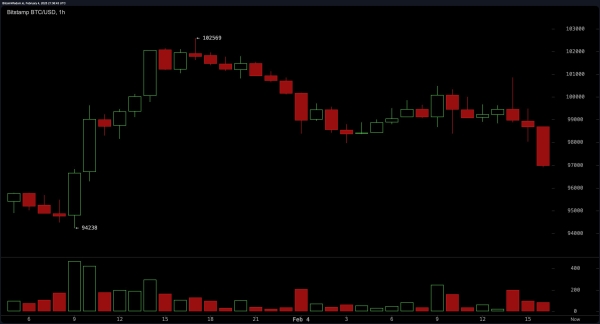 Bitcoin Price Analysis: Bears Tighten Grip as BTC Drops Below $97K