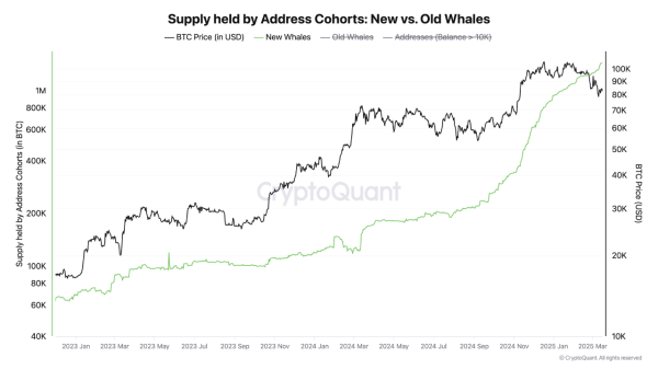 Bitcoin Whales Are Back—Could This Be the Catalyst for the Next Rally?