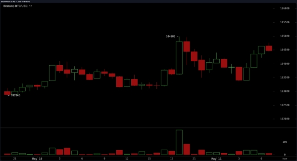 Bitcoin Price Watch: Bullish Trend Remains Intact Amid Volume Divergence