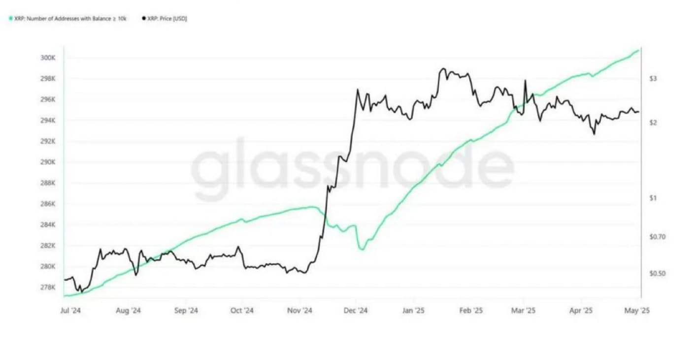 Chart showing the change in the number of XRP whales and the token's price.