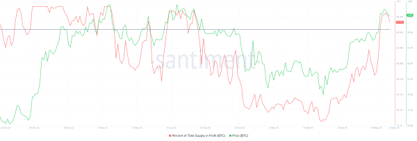 Whales Buy $8.5 Billion in Bitcoin—Can Their Firepower Push Price to $110,000?