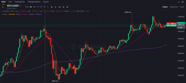 Strategy’s Bitcoin bet sees over $23B in gains as BTC tops record $110K