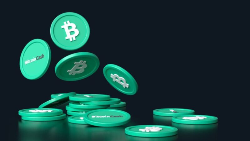 Bitcoin Cash vs. Bitcoin: Can BCH keep outperforming BTC?