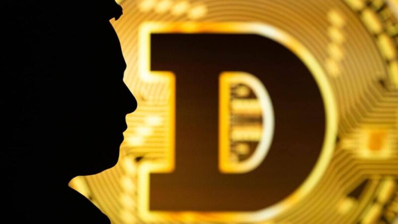Dogecoin price crashes as Musk battles with Trump