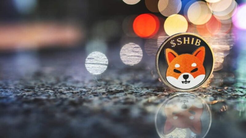 $10,000 invested in SHIB 3 years ago is now worth