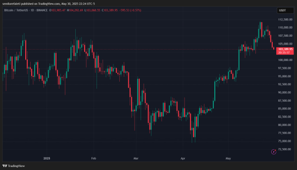 Bitcoin Must Reclaim $106,000 Resistance To Avoid Further Crash – Analyst