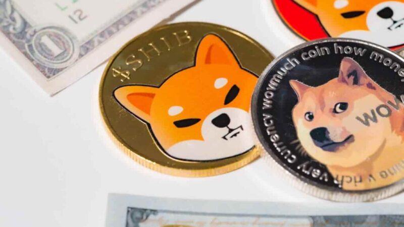DOGE or SHIB? We asked ChatGPT which crypto is a better buy for 2025 H2